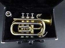 Kleine trompete starline gebraucht kaufen  Hohenstein-Ernstthal