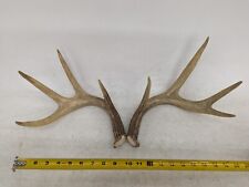 Matching pair antler for sale  Champaign