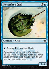 horseshoe crab usato  Bari