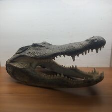 Alligator head foot for sale  Jacksonville