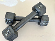 Pair Gray Barbell 5lb Cast Iron Hex Dumbbell, Barbell, Unisex Strength Training. for sale  Shipping to South Africa