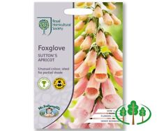 Rhs fothergill foxglove for sale  PONTYPOOL