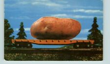 Postcard maine potato for sale  Chandler