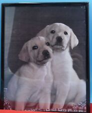 Labrador puppy picture for sale  HYTHE
