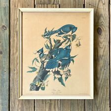 Vintage audubon blue for sale  Big Pine Key