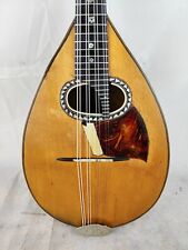 mandolino etnico usato  Vaiano Cremasco