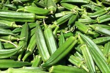 Vegetable okra clemsons for sale  WREXHAM