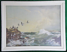 Puffins vernon ward for sale  HOLYHEAD
