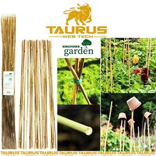 Bamboo canes garden for sale  MANCHESTER