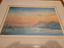 Rudolf distler lithografie gebraucht kaufen  Buttenwiesen