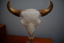 Buffalo bison horned for sale  Cleveland