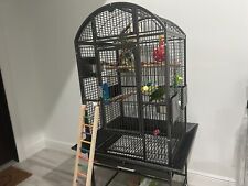 Large parrot bird for sale  Delray Beach