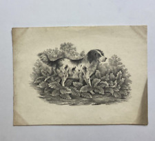 Antique pencil drawing for sale  UK
