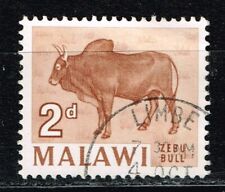 Malawi farm animals for sale  San Diego