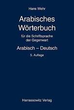 Arabisches wörterbuch schrift gebraucht kaufen  Stuttgart