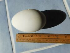 Blown goose eggs for sale  Scottsville
