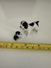 Miniature spaniels for sale  RUTHIN