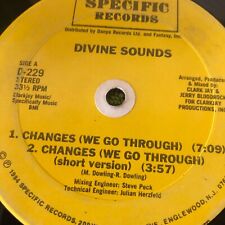 Divine Sounds – Changes / Do Or Die Bed Sty - 12" VINIL SOLTEIRO comprar usado  Enviando para Brazil