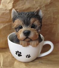 Yorkshire terrier teacup for sale  Minneapolis