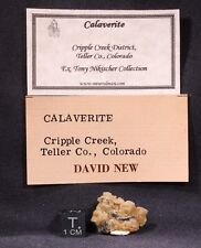 Gold Telluride Calaverite Bladed Crystals Cripple Creek, Colorado -EX. Nikischer for sale  Shipping to South Africa