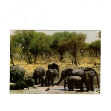 Ansichtskarte faune africaine gebraucht kaufen  Winsen