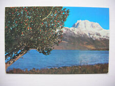 Loch maree slioch for sale  FALKIRK