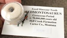 Genuine fossil edmontosaurus for sale  Jackson