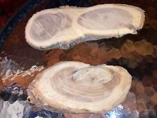 Pine slabs mounting for sale  Elbow Lake