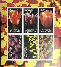 Folheto de flores de tulipas Rússia Kalmykia 1997 sem marca de charneira comprar usado  Enviando para Brazil