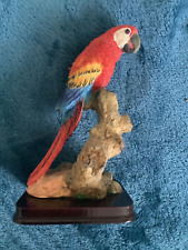 Scarlet macaw parrot for sale  KING'S LYNN