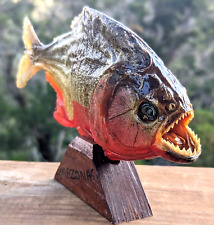 Taxidermy piranha fish for sale  Canyon Lake