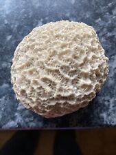 Aquarium coral rock for sale  WELLINGBOROUGH