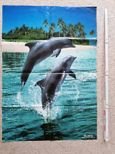 Tier poster delphine gebraucht kaufen  Erkner