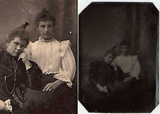 Tintype friends females for sale  Shipping to Ireland