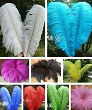 Ostrich plumes feathers for sale  Flushing