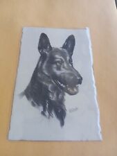 Used, Vintage Animal Postcard Artist Signed Dog German Shepherd Swiss for sale  Shipping to South Africa