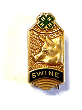 Vintage swine pin for sale  Blacklick