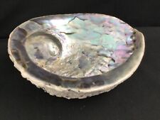 abalone shells for sale  THETFORD