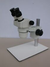 Testa microscopio stereo usato  Italia