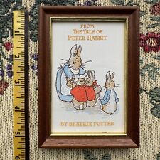 Tale peter rabbit for sale  Madison