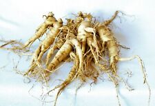 Ginseng rootlets grow for sale  Oshkosh