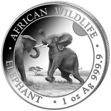 Somalia elephant elefante usato  Poviglio