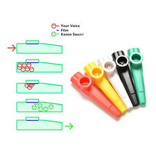 Plastic kazoo musical for sale  Shipping to Ireland