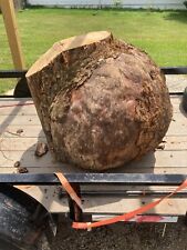 Burl wood oak for sale  Harvest
