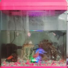 Fish tank fishes for sale  GRAYS