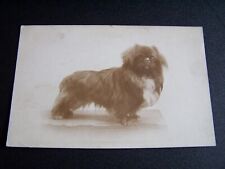 Vintage pekingese dog for sale  Shipping to Ireland