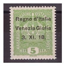 Venezia giulia 1918 usato  Pietrasanta
