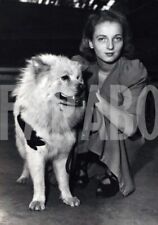 Vintage animali cane usato  Roma