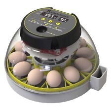 Kebonnixs egg incubator for sale  Westwood