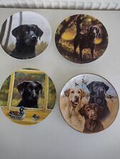 Labrador plates wedgewood for sale  LEYLAND